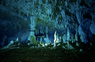 Illustration for article titled Could "blue holes" offer clues about the biology of extraterrestrials?